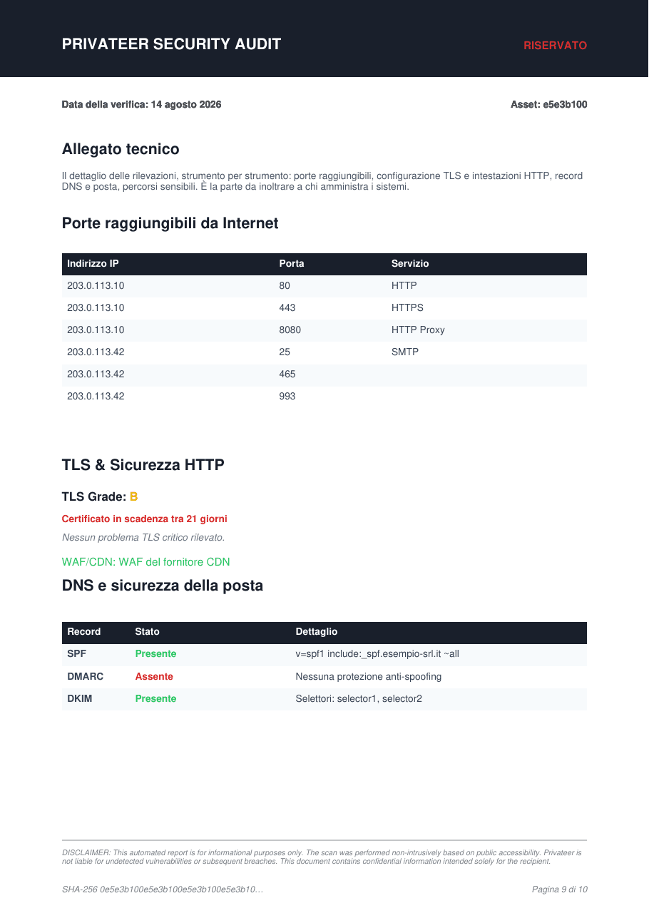 Prima pagina dell’allegato tecnico: tabella delle porte raggiungibili da Internet, sezione TLS e sicurezza HTTP, record DNS e sicurezza della posta.